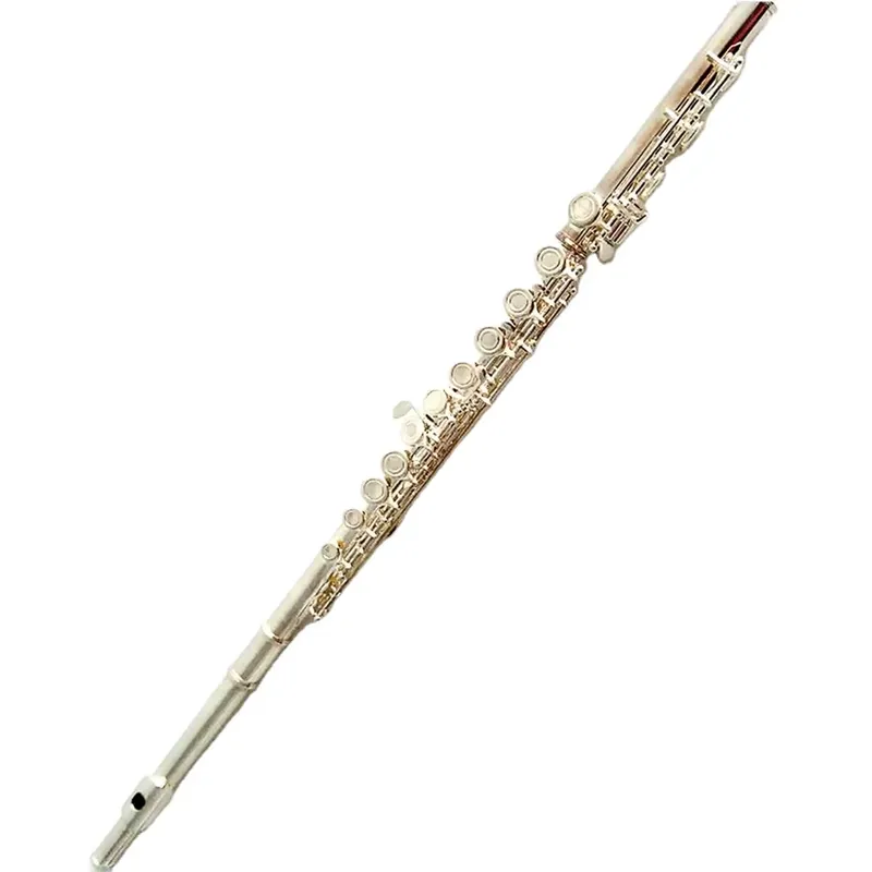 Musical Instrument In Orchestra - آلة فلوت فضية مطلية بـ 16