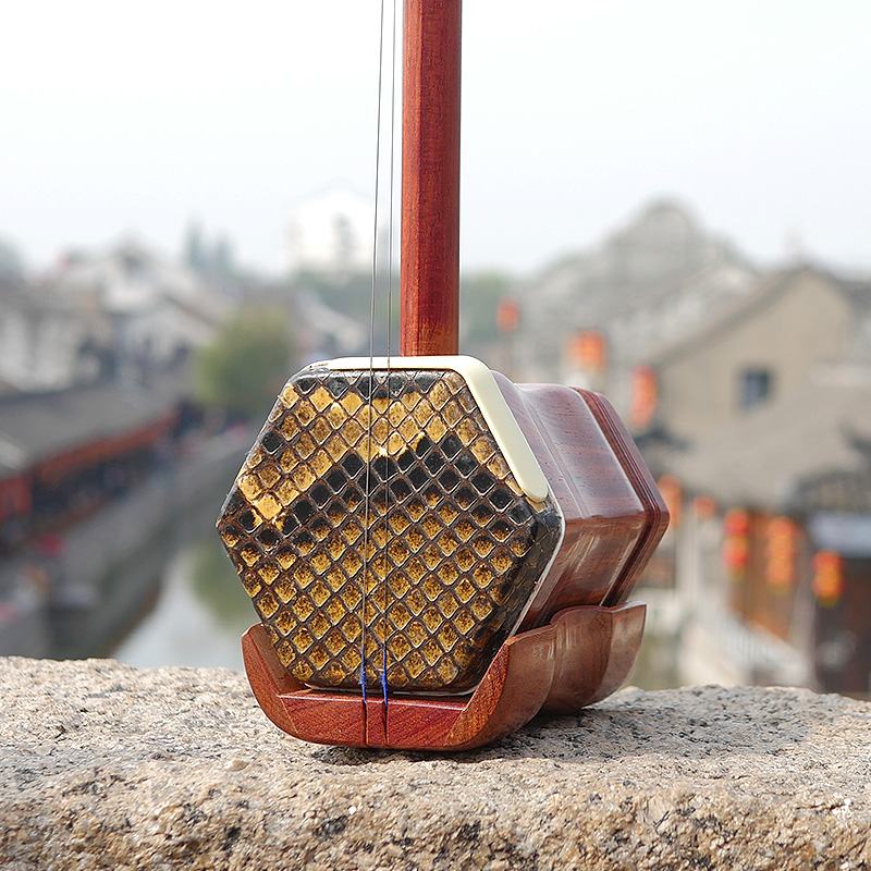 المهنية Dunhuang العلامة التجا - مراجعة Musical Instrument Brands وسعره