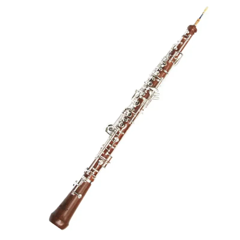 آلة الأوبواه سي، مطلية بالنحاس - مراجعة Musical Instrument In Orchestra وسعره